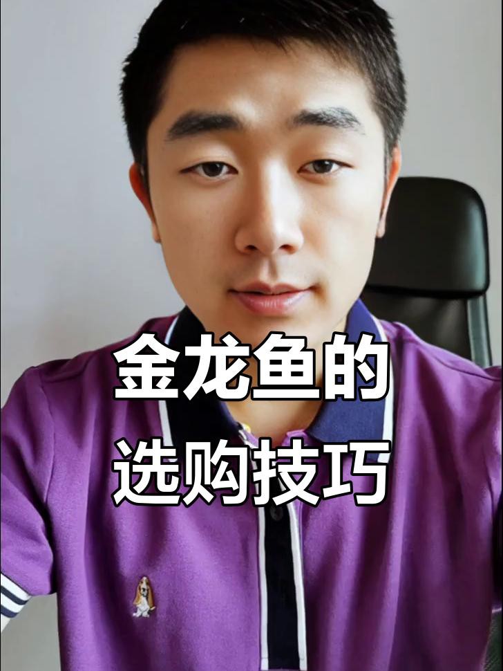 如何辨別古典過背金龍的品質？，如何挑選古典過背金龍魚