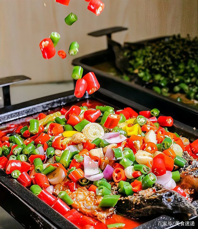 措美龍魚店，措美龍魚店具體地址在哪里措美龍魚店的具體地址在哪 措美龍魚店，措美龍魚店具體地址在哪里措美龍魚店的具體地址在哪 全國水族館企業名錄 第4張