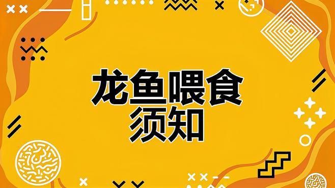紅龍魚最忌三種飼料，養龍須知:避開三忌,實現輕松養龍魚生科技