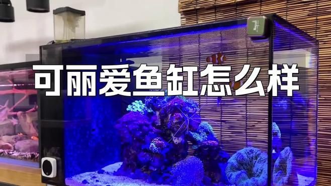 可麗愛魚缸用戶真實評價，可麗愛魚缸和森森魚缸哪個好