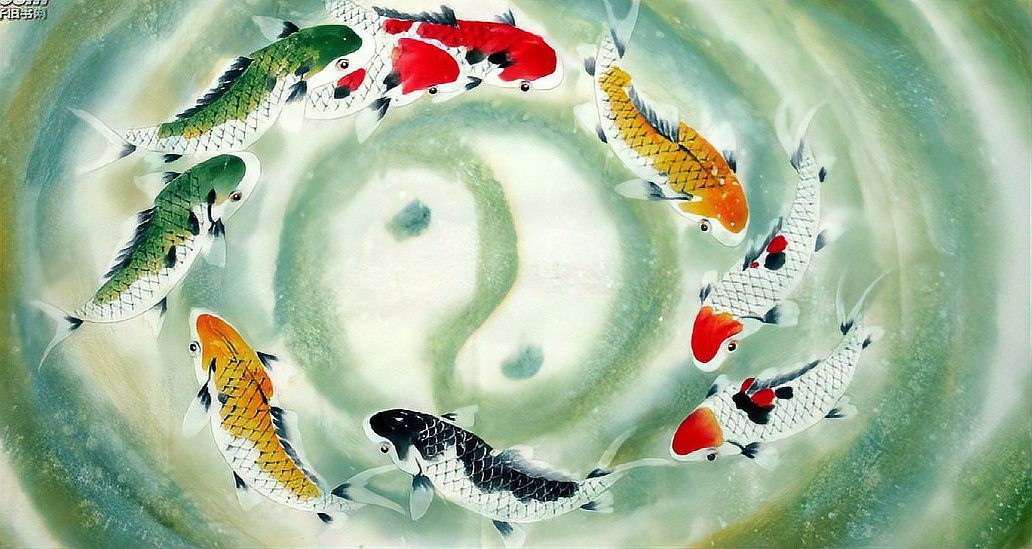 有沒有其他類似《龍魚風(fēng)水》的小說推薦？，10本與《龍魚風(fēng)水》風(fēng)格相似的玄學(xué)題材小說推薦：**