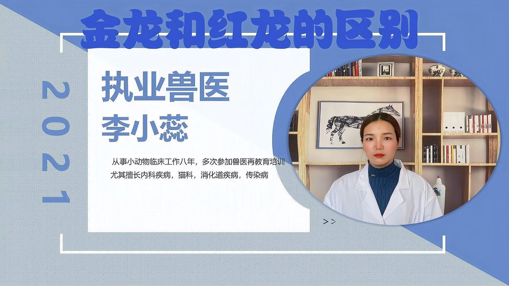 如何辨別金龍和紅龍的品質？，《如何辨別紅龍和紅龍的品質》如何區(qū)分金龍和紅龍的品質