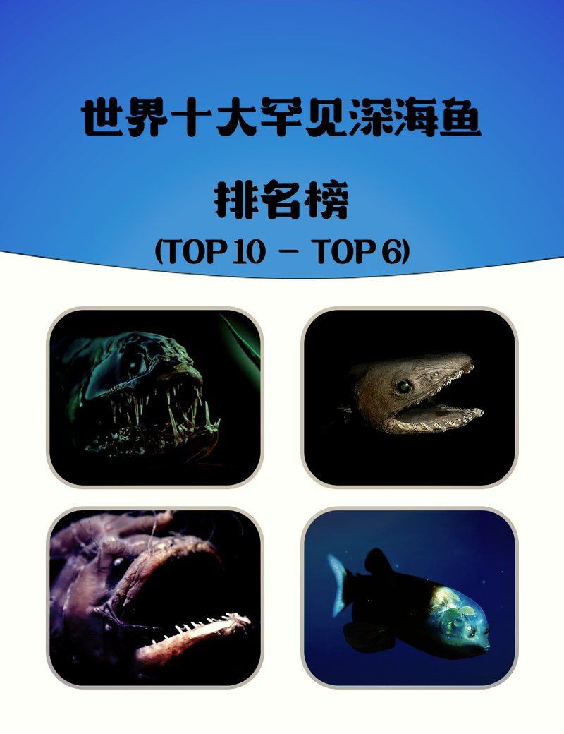 深海龍魚真實圖片，全球六大罕見深海魚 深海龍魚真實圖片，全球六大罕見深海魚 龍魚百科 第24張