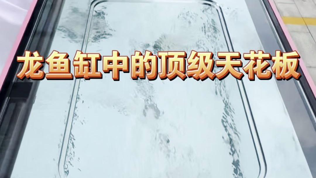 十大公認最好的龍魚缸，十大最佳龍魚缸品牌top10權(quán)威榜單出爐養(yǎng)魚愛好者必看指南