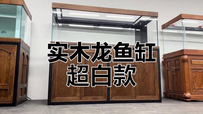 十大公認最好的龍魚缸，十大最佳龍魚缸品牌top10權(quán)威榜單出爐養(yǎng)魚愛好者必看指南