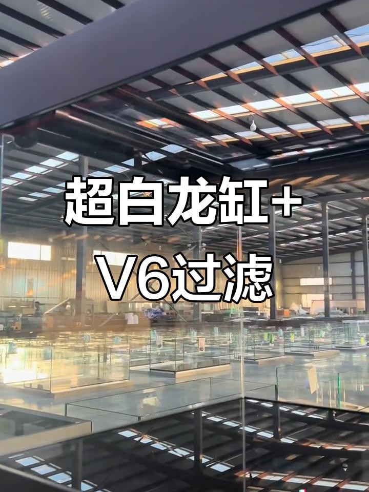 十大公認最好的龍魚缸，十大最佳龍魚缸品牌top10權(quán)威榜單出爐養(yǎng)魚愛好者必看指南