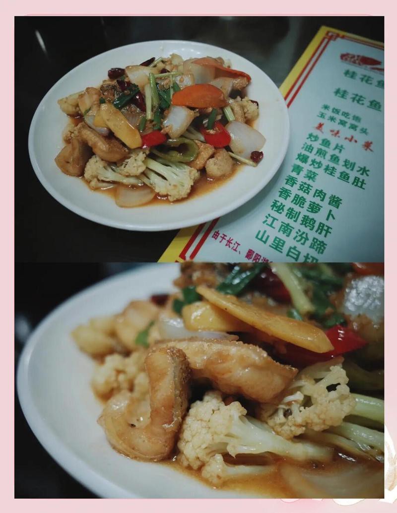 莆田龍魚店，莆田地區(qū)的龍魚相關(guān)店鋪呈現(xiàn)多樣化發(fā)展態(tài)勢