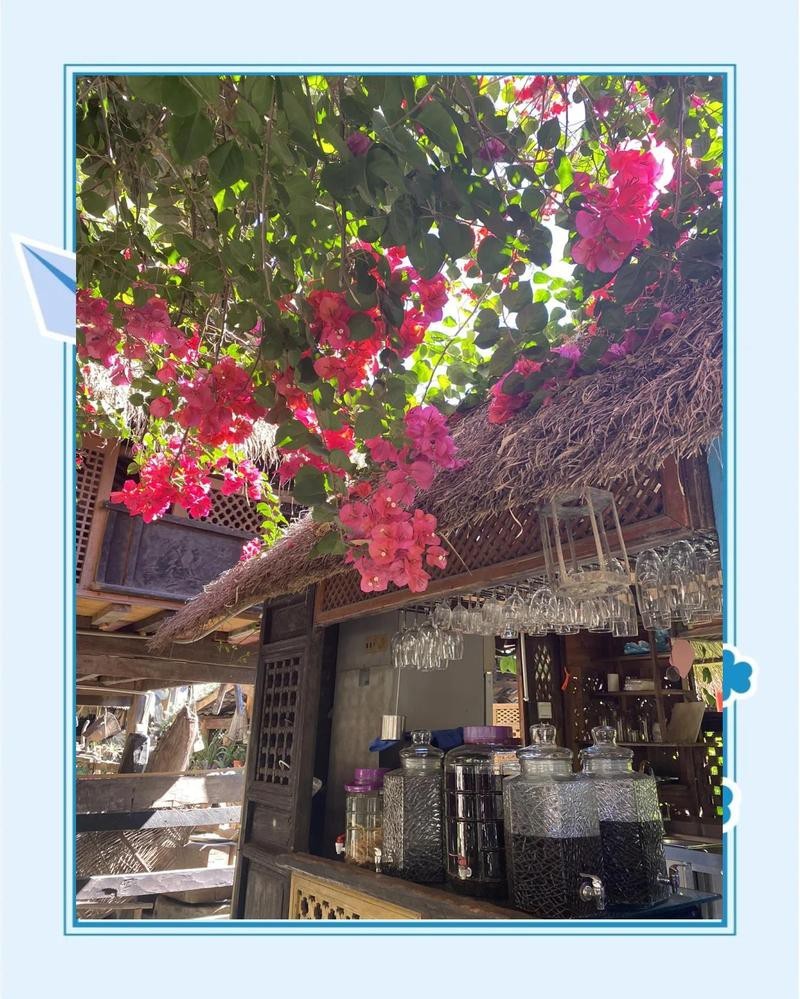 梁河龍魚店,梁河縣是否有水族館或龍魚店 全國水族館企業(yè)名錄 第1張 梁河龍魚店,梁河縣是否有水族館或龍魚店 梁河龍魚店,梁河縣是否有水族館或龍魚店 全國水族館企業(yè)名錄 第1張