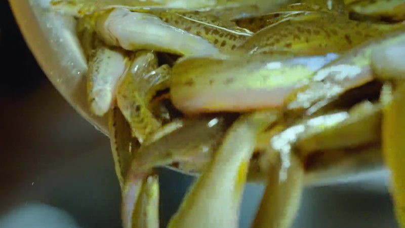 梁河龍魚店，梁河縣是否有水族館或龍魚店 梁河龍魚店，梁河縣是否有水族館或龍魚店 全國水族館企業(yè)名錄 第2張