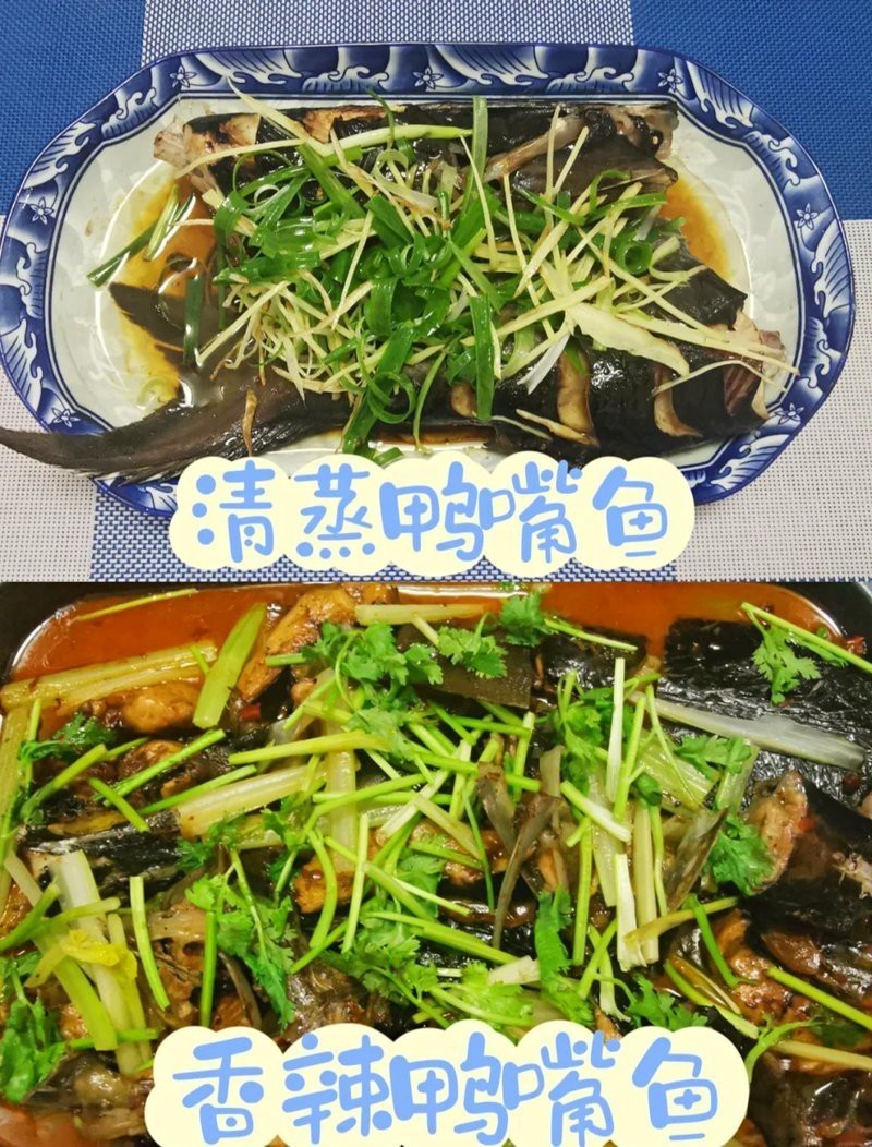 凍鴨嘴魚的家常做法大全，《凍鴨嘴魚的家常做法大全》