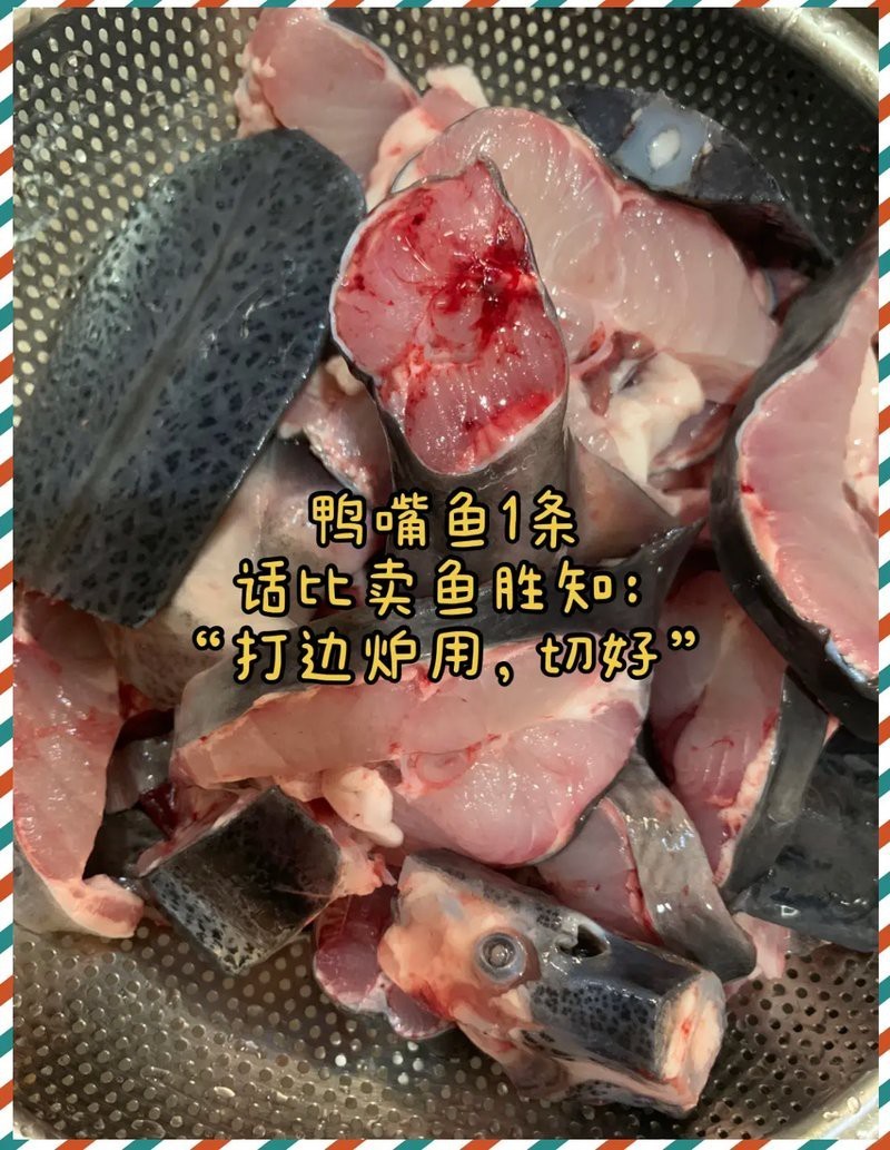 凍鴨嘴魚的家常做法大全，《凍鴨嘴魚的家常做法大全》