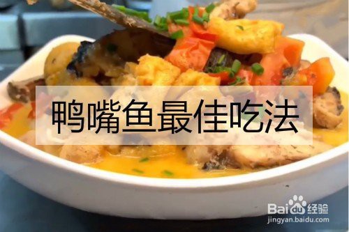 凍鴨嘴魚的家常做法大全，《凍鴨嘴魚的家常做法大全》