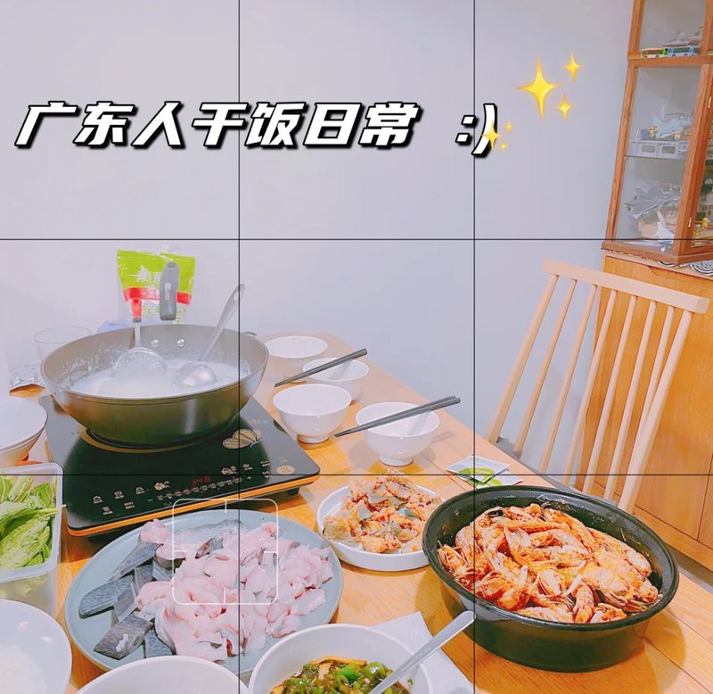 凍鴨嘴魚的家常做法大全，《凍鴨嘴魚的家常做法大全》