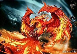 鳳凰要臣服于朱雀嗎，《鳳凰》與《山海經》的關系