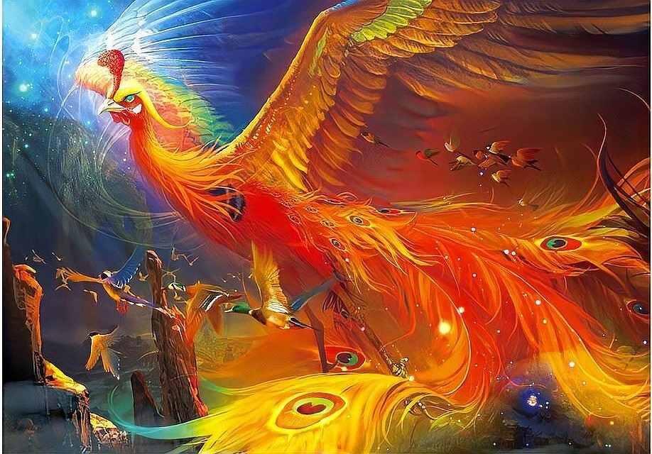 鳳凰要臣服于朱雀嗎，《鳳凰》與《山海經》的關系