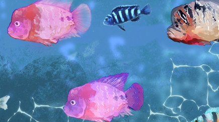 羅漢魚餓三天火氣就大了，羅漢魚餓多久可以起頭小可愛寵物網養殖方法和注意事項