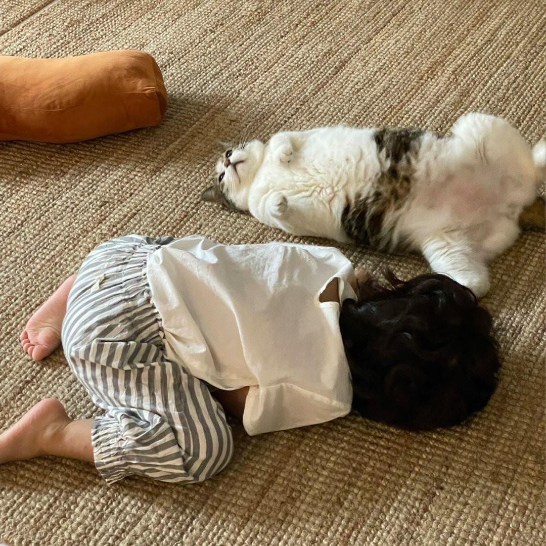 什么樣的家庭適合養(yǎng)貓，什么樣的家庭適合養(yǎng)貓？