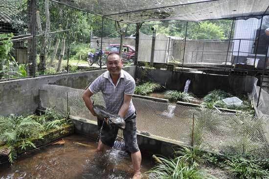 漢中水族批發(fā)市場，漢中市水族批發(fā)市場
