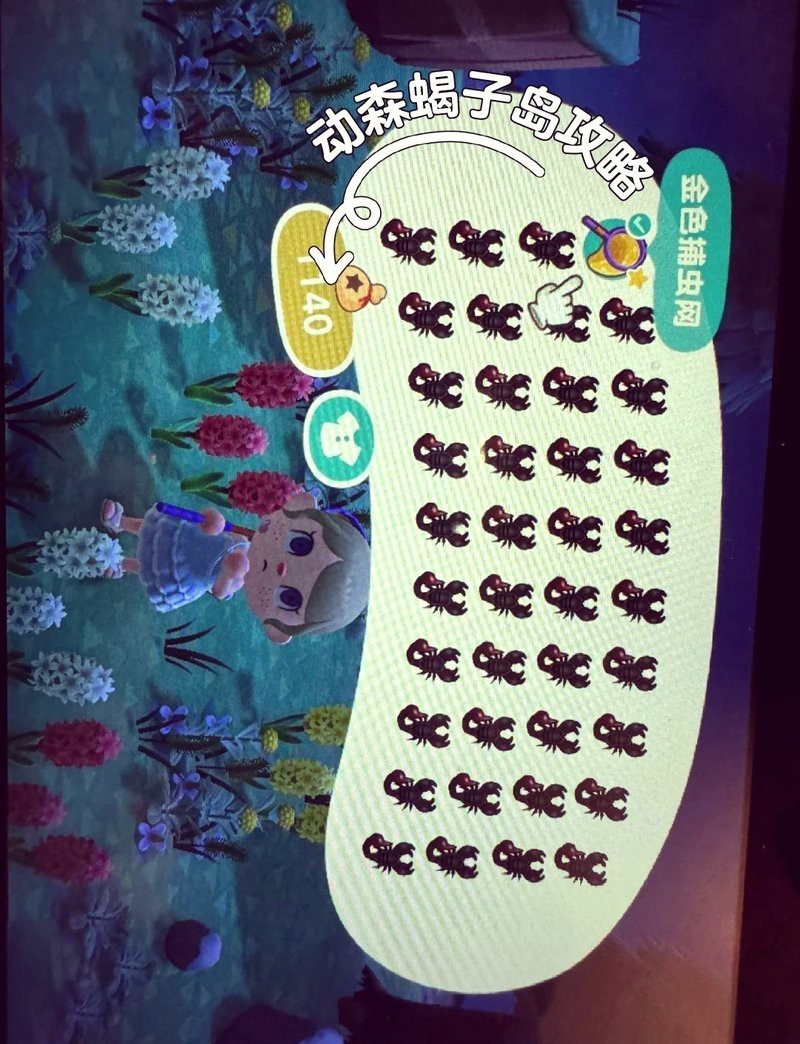 動森蝎子多少一只，《動物森友會》5月新昆蟲一覽