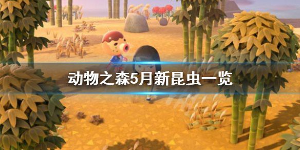 動森蝎子多少一只，《動物森友會》5月新昆蟲一覽