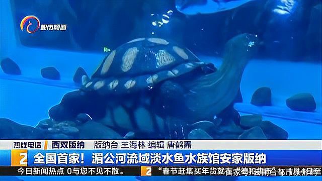 西雙版納水族店，中國首家湄公河流域淡水魚水族館在云南臺都市條形碼 西雙版納水族店，中國首家湄公河流域淡水魚水族館在云南臺都市條形碼 全國水族館企業名錄 第1張