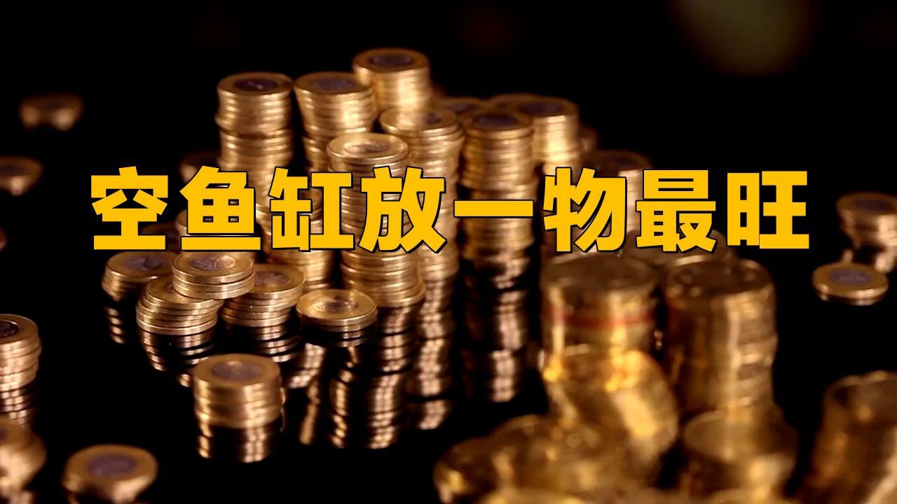 空魚缸放啥最旺財(cái)，空魚缸放什么最旺財(cái)