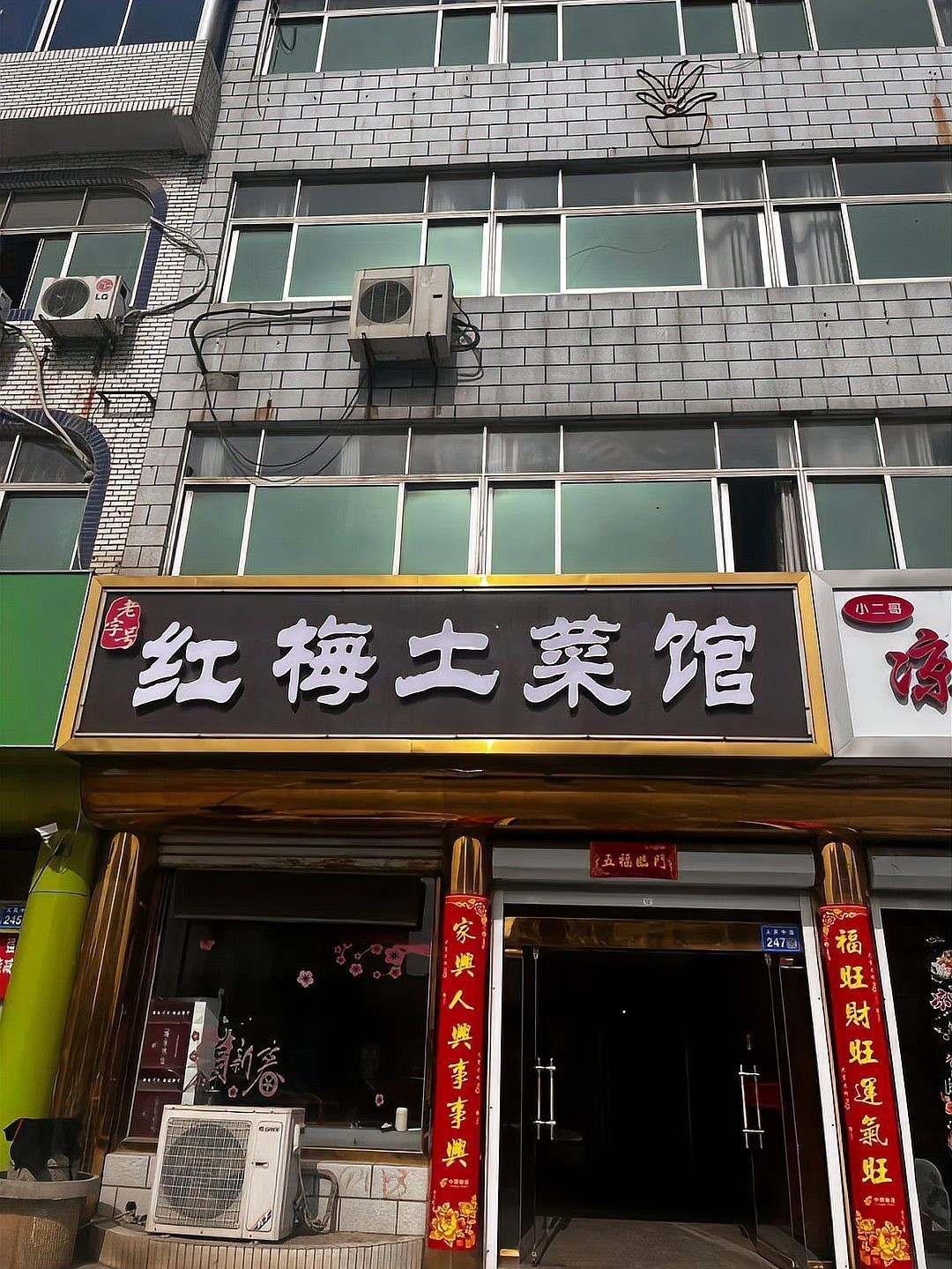 灌南龍魚店，灌南龍魚市場在哪里 灌南龍魚店，灌南龍魚市場在哪里 全國水族館企業(yè)名錄 第1張