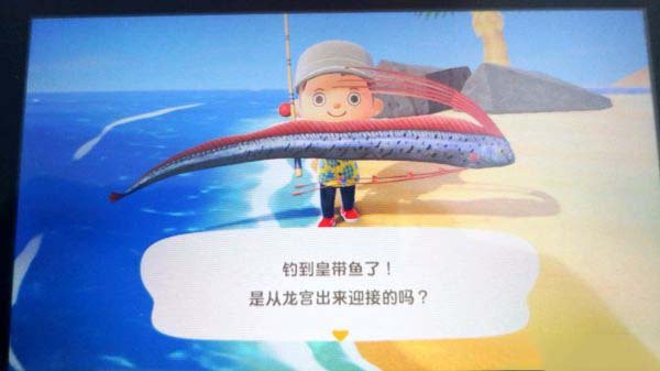 動森五彩鰻多少錢一條，《集合啦動物森友會》5月消失的魚類價格揭秘眼袋君伙伴星大萌