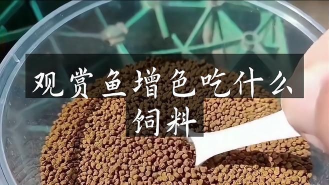 紅龍魚發色飼料選擇，《紅龍魚發色飼料選擇》