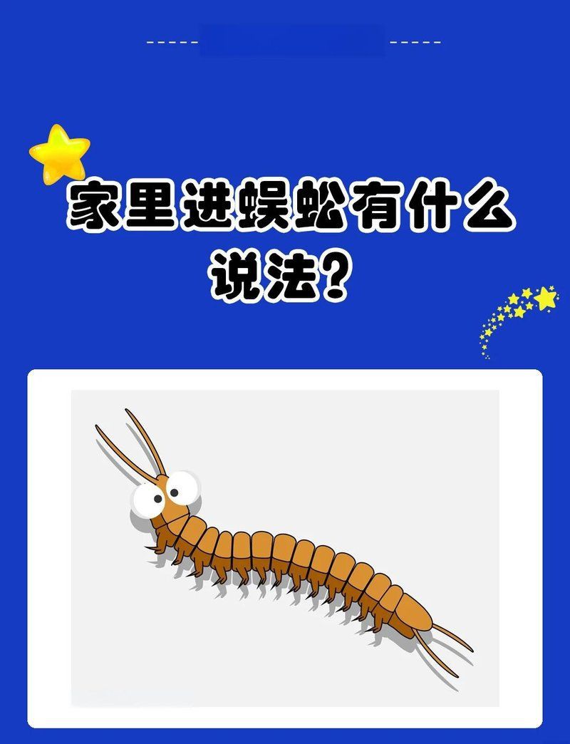 家里有一只蜈蚣要警惕，《家里有一只蜈蚣要警惕》 家里有一只蜈蚣要警惕，《家里有一只蜈蚣要警惕》 全國水族館企業(yè)名錄 第5張