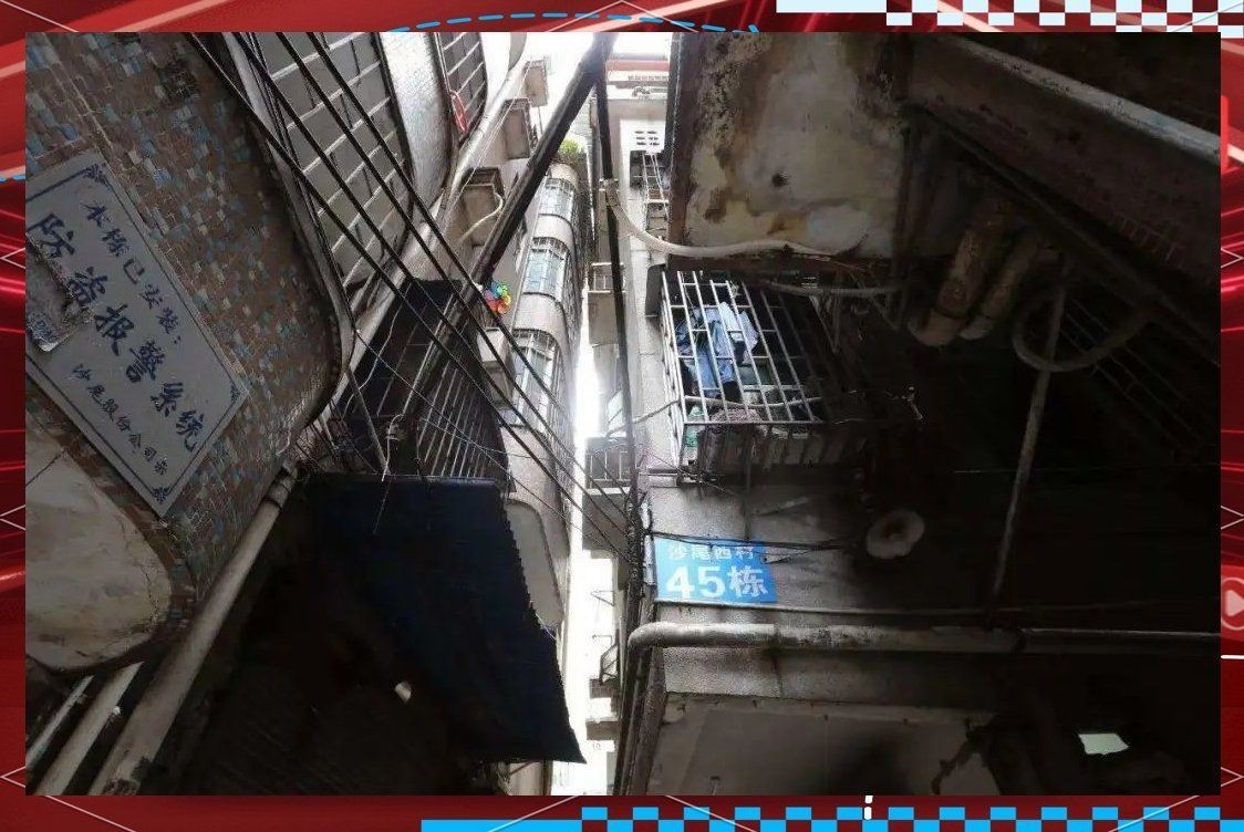 家里有一只蜈蚣要警惕，《家里有一只蜈蚣要警惕》 家里有一只蜈蚣要警惕，《家里有一只蜈蚣要警惕》 全國水族館企業(yè)名錄 第8張