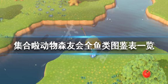動森刺豚價格，《集合啦動物森友會》全魚類圖鑒表
