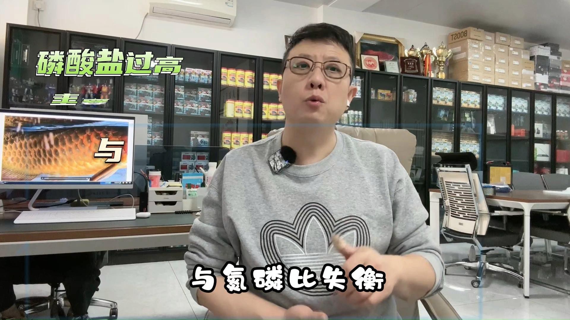 如何判斷龍魚(yú)肚子鱗片潰爛的病因？，如何判斷龍魚(yú)肚子鱗片潰爛的病因