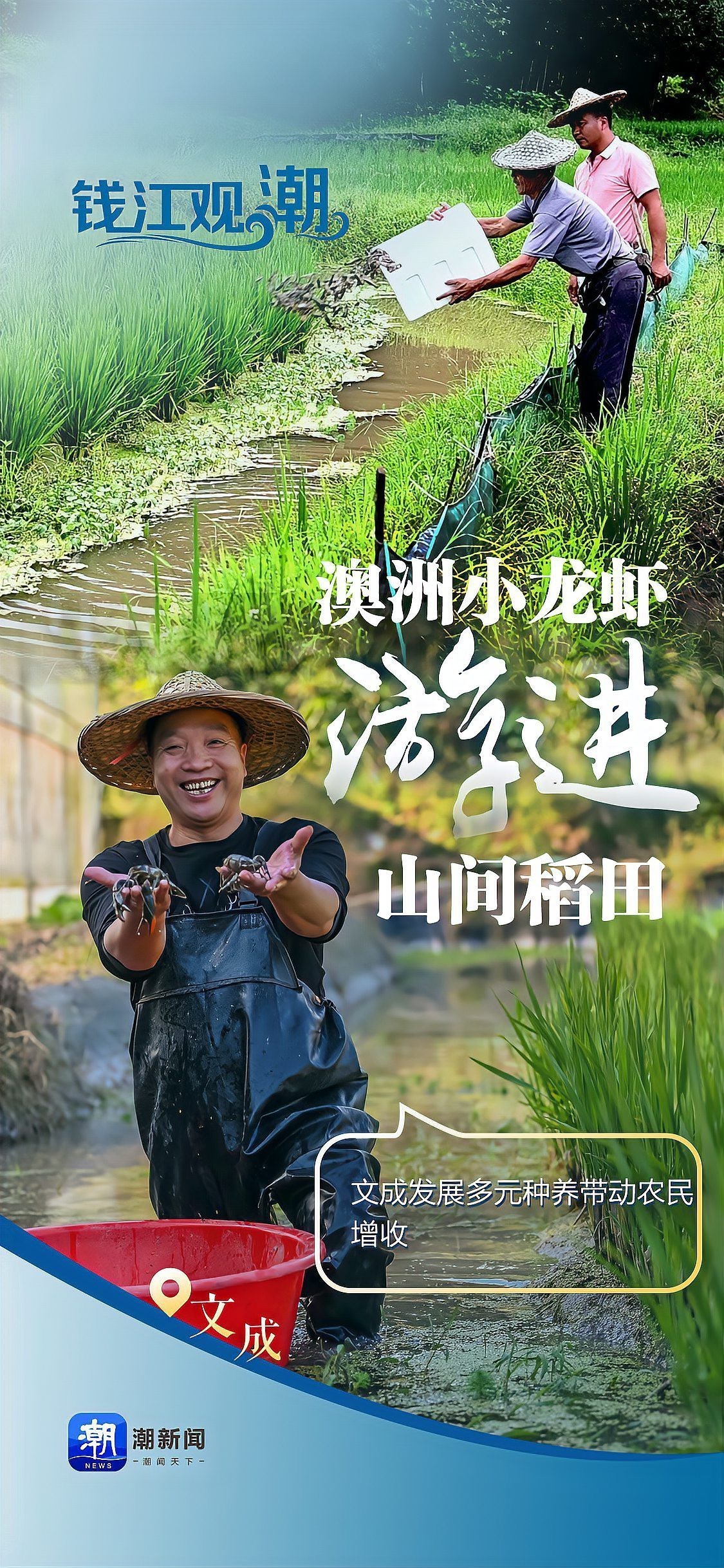 養澳洲龍蝦10養9虧，《養澳洲龍蝦10養9虧》