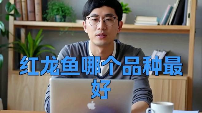 紅龍魚屬于什么檔次，愛采購，綿陽紅龍魚大概多少錢一條