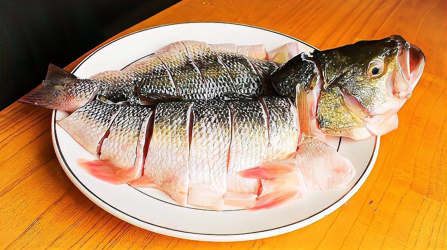 養(yǎng)3條龍魚(yú)會(huì)得白血病嗎，養(yǎng)3條龍魚(yú)會(huì)得白血病嗎醫(yī)生提醒:這4種魚(yú)容易導(dǎo)致白血病 養(yǎng)3條龍魚(yú)會(huì)得白血病嗎，養(yǎng)3條龍魚(yú)會(huì)得白血病嗎醫(yī)生提醒:這4種魚(yú)容易導(dǎo)致白血病 龍魚(yú)論壇 第3張