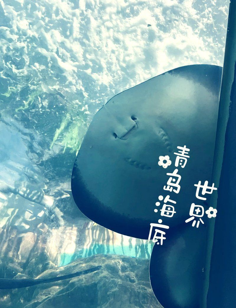 海洋館什么意思，《海洋館什么意思》