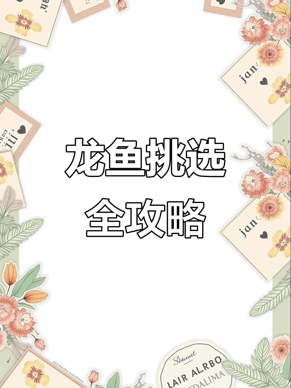 如何鑒別龍魚的肥美程度？，如何挑選優質紅龍魚掌握這些技巧讓你選到最美鱸魚