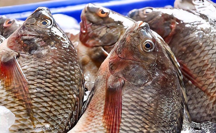 羅非魚是海魚還是淡水魚，羅非魚在中國被嫌棄，為什么美國人超愛吃簡食記