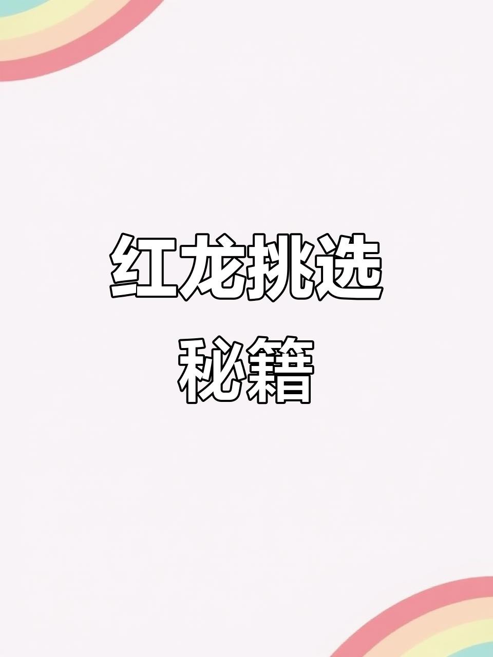 如何拍攝高質量的紅龍魚照片，如何拍攝高質量的紅龍魚照片，印尼紅龍魚照片后期處理技巧