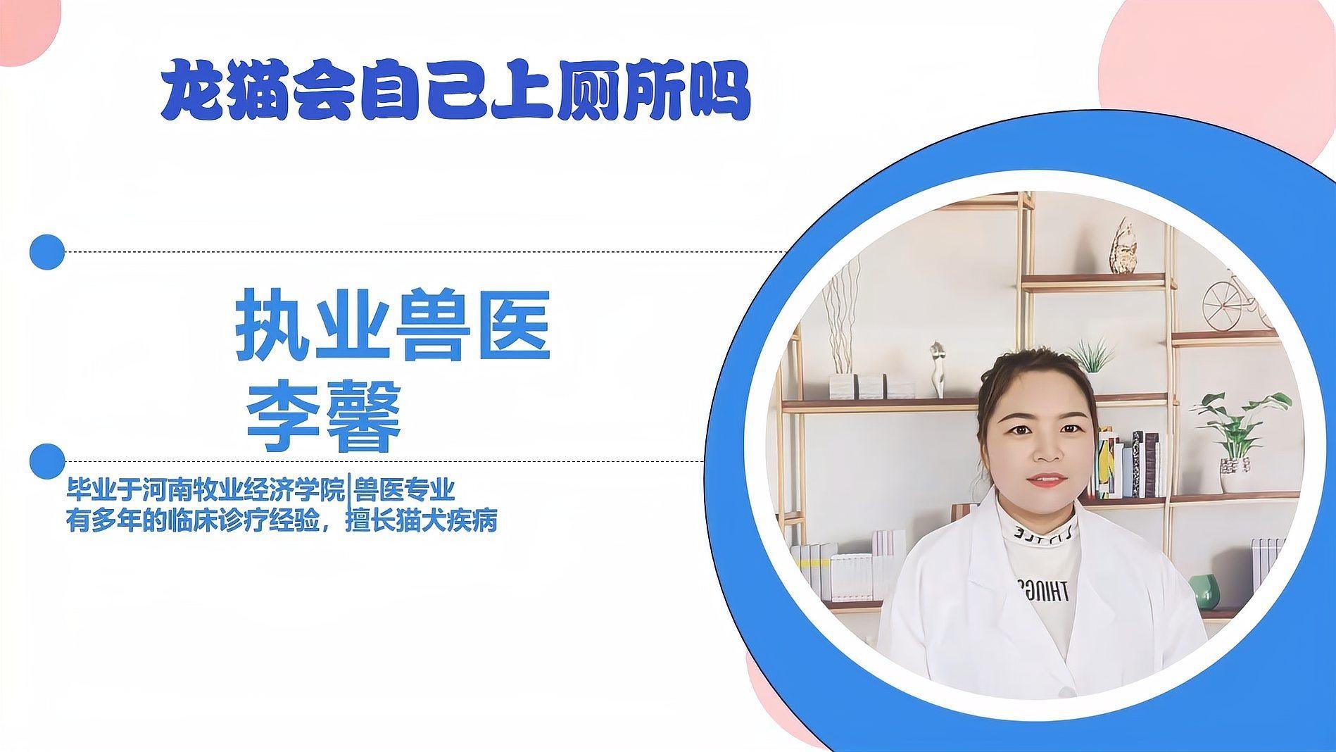 如何訓練龍貓在固定地點排便？，如何訓練龍貓在固定地點排便 如何訓練龍貓在固定地點排便？，如何訓練龍貓在固定地點排便 龍魚論壇 第6張