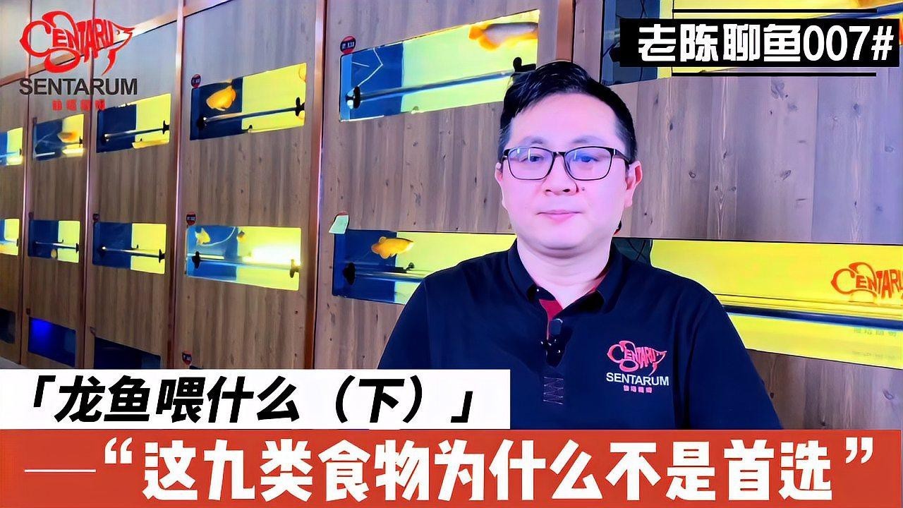 如何選擇安全的龍魚(yú)飼料？，龍魚(yú)飼料排行榜前十名澳味轟轟羊金龍紅龍的飼料秘密