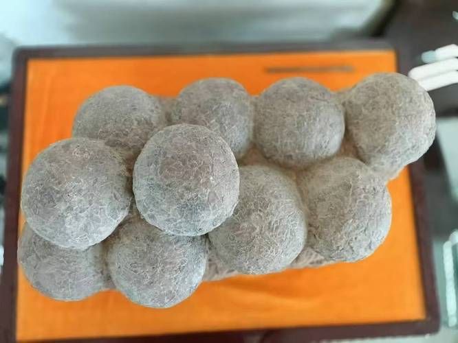 恐龍蛋真品圖片，世界上最珍貴的品種——恐龍蛋化石 恐龍蛋真品圖片，世界上最珍貴的品種——恐龍蛋化石 龍魚百科 第10張