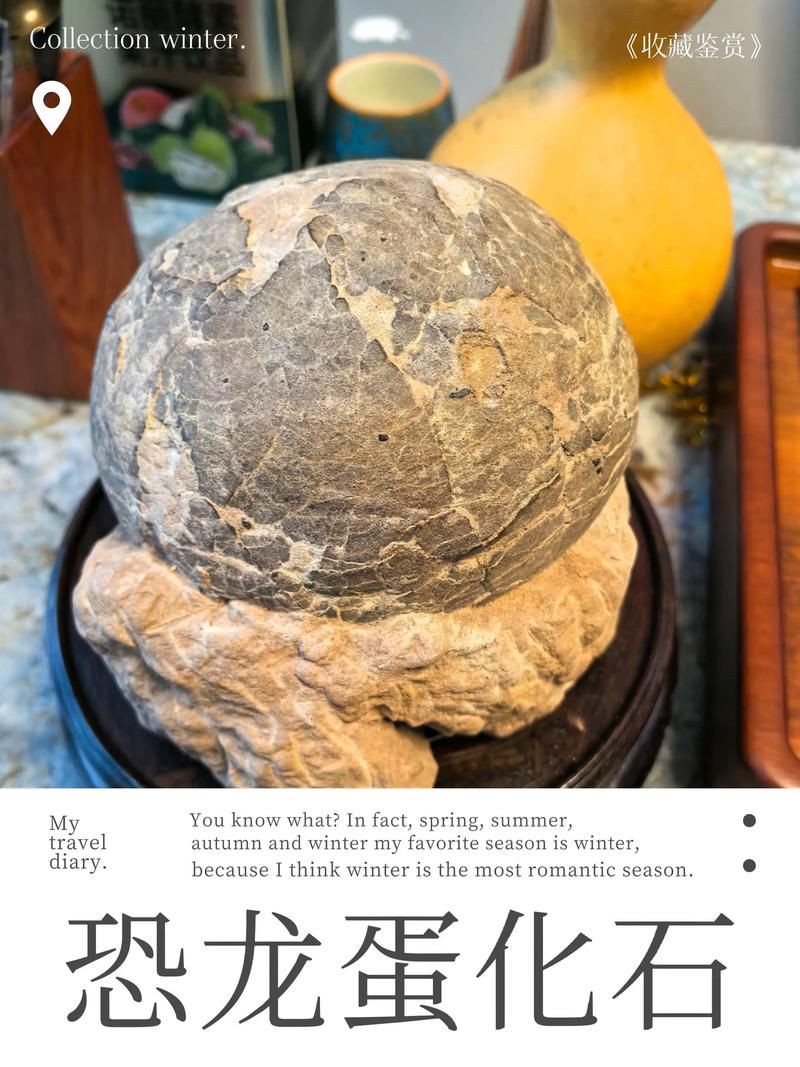 恐龍蛋真品圖片，世界上最珍貴的品種——恐龍蛋化石 恐龍蛋真品圖片，世界上最珍貴的品種——恐龍蛋化石 龍魚百科 第2張