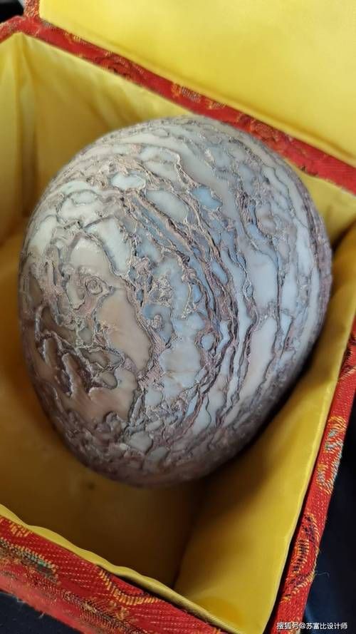 恐龍蛋真品圖片，世界上最珍貴的品種——恐龍蛋化石 恐龍蛋真品圖片，世界上最珍貴的品種——恐龍蛋化石 龍魚百科 第5張