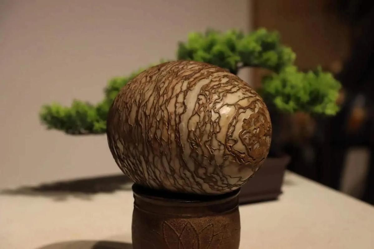 恐龍蛋真品圖片，世界上最珍貴的品種——恐龍蛋化石 恐龍蛋真品圖片，世界上最珍貴的品種——恐龍蛋化石 龍魚百科 第3張