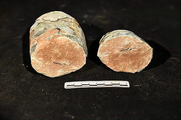 恐龍蛋真品圖片，世界上最珍貴的品種——恐龍蛋化石 恐龍蛋真品圖片，世界上最珍貴的品種——恐龍蛋化石 龍魚百科 第28張