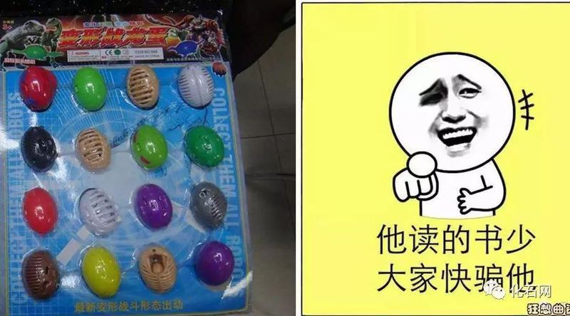 恐龍蛋真品圖片，世界上最珍貴的品種——恐龍蛋化石 恐龍蛋真品圖片，世界上最珍貴的品種——恐龍蛋化石 龍魚百科 第26張