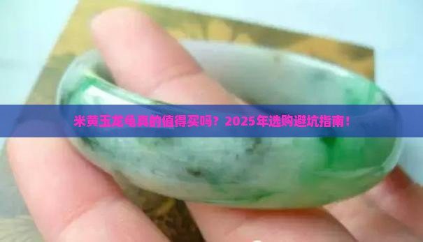 買龍龜的十大忠告，季節購買龍龜的十大忠告