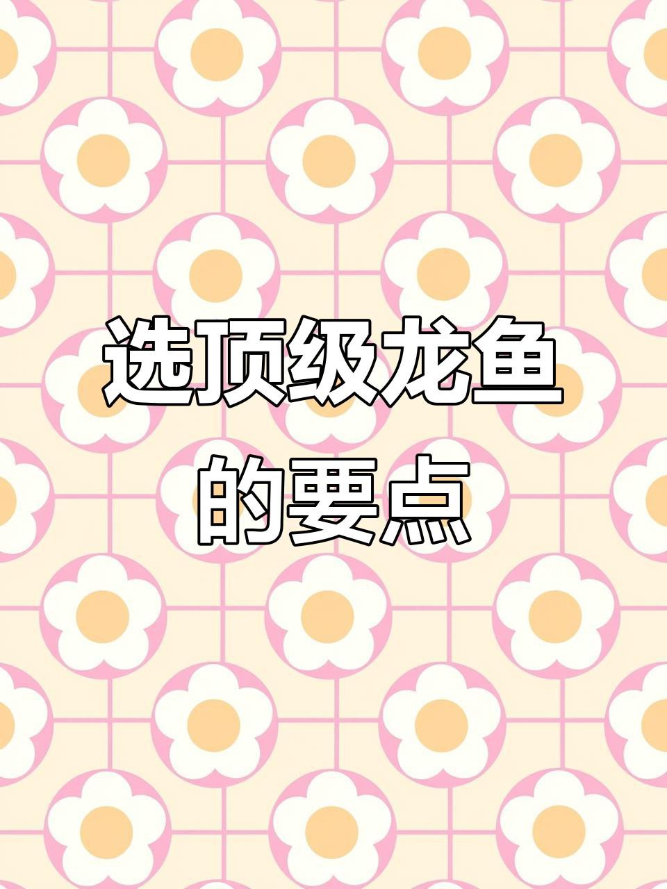 如何選購高品質(zhì)的24K龍魚？，如何選購高品質(zhì)的24k龍魚[emoji[需手動(dòng)填充]1f495[[需手動(dòng)填充]emoji[需手動(dòng)填充]